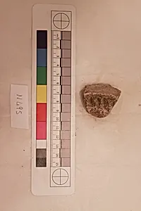 Stucco Fragment