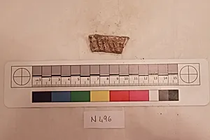 Stucco Fragment