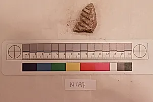 Stucco Fragment