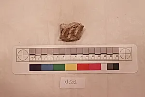 Stucco Fragment