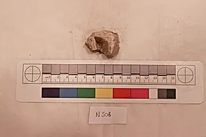 Stucco Fragment by Unknown Artist