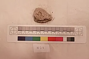 Stucco Fragment