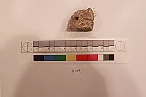 Stucco Fragment