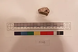 Stucco Fragment