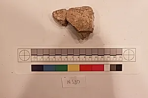 Stucco Fragment