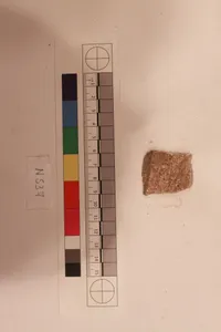 Stucco Fragment by Unknown Artist