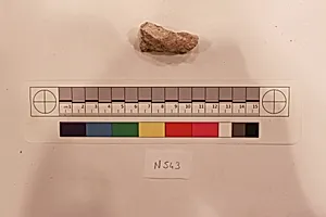 Stucco Fragment