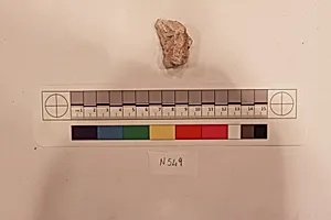 Stucco Fragment by Unknown Artist