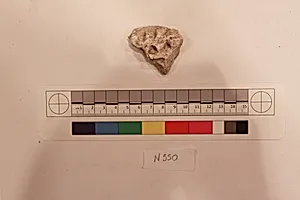 Stucco Fragment by Unknown Artist