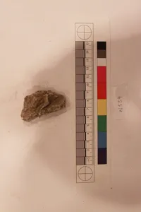 Stucco Fragment by Unknown Artist
