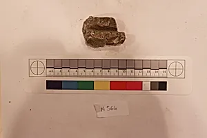 Stucco Fragment