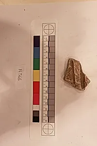 Stucco Fragment