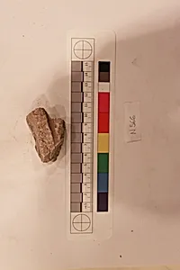 Stucco Fragment