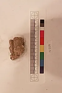 Stucco Fragment