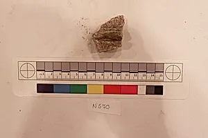 Stucco Fragment