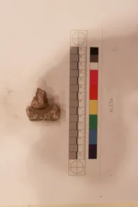 Stucco Fragment by Unknown Artist