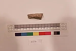 Stucco Fragment