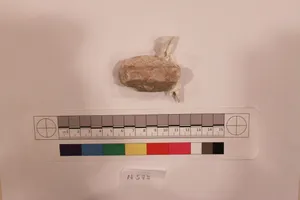 Stucco Fragment by Unknown Artist