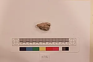 Stucco Fragment