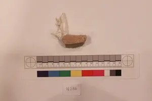 Stucco Fragment by Unknown Artist
