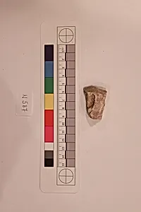 Stucco Fragment