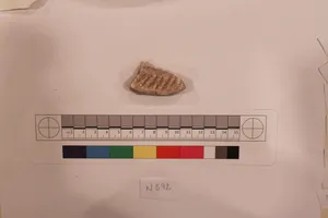 Stucco Fragment by Unknown Artist