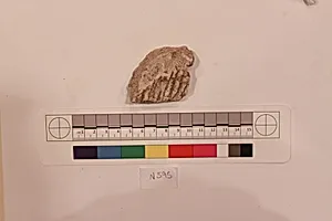 Stucco Fragment by Unknown Artist