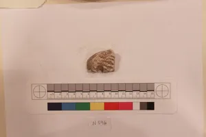 Stucco Fragment by Unknown Artist