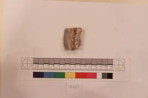 Stucco Fragment by Unknown Artist