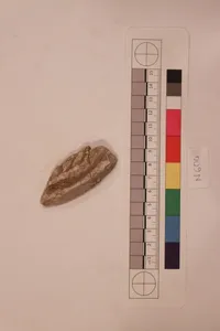 Stucco Fragment by Unknown Artist