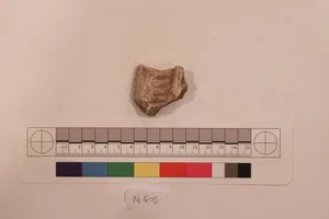 Stucco Fragment by Unknown Artist
