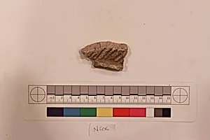 Stucco Fragment by Unknown Artist