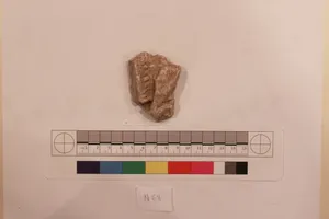 Stucco Fragment by Unknown Artist