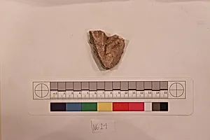 Stucco Fragment