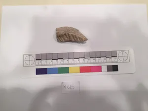 Stucco Fragment by Unknown Artist