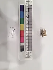 Stucco Fragment