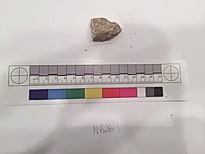 Stucco Fragment
