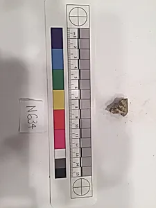 Stucco Fragment