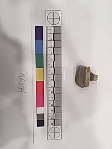 Stucco Fragment