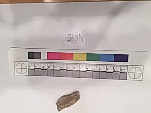 Stucco Fragment