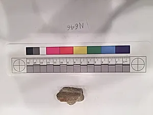 Stucco Fragment by Unknown Artist