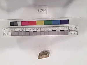 Stucco Fragment