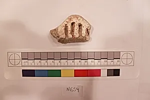 Stucco Fragment