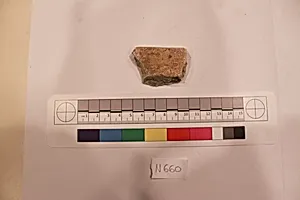 Stucco Fragment