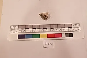 Stucco Fragment