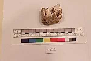 Stucco Fragment by Unknown Artist