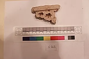 Stucco Fragment