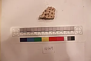 Stucco Fragment