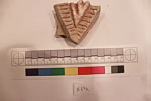 Stucco Fragment