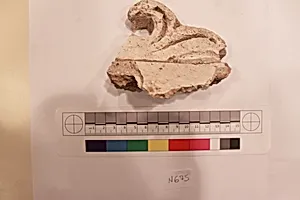 Stucco Fragment